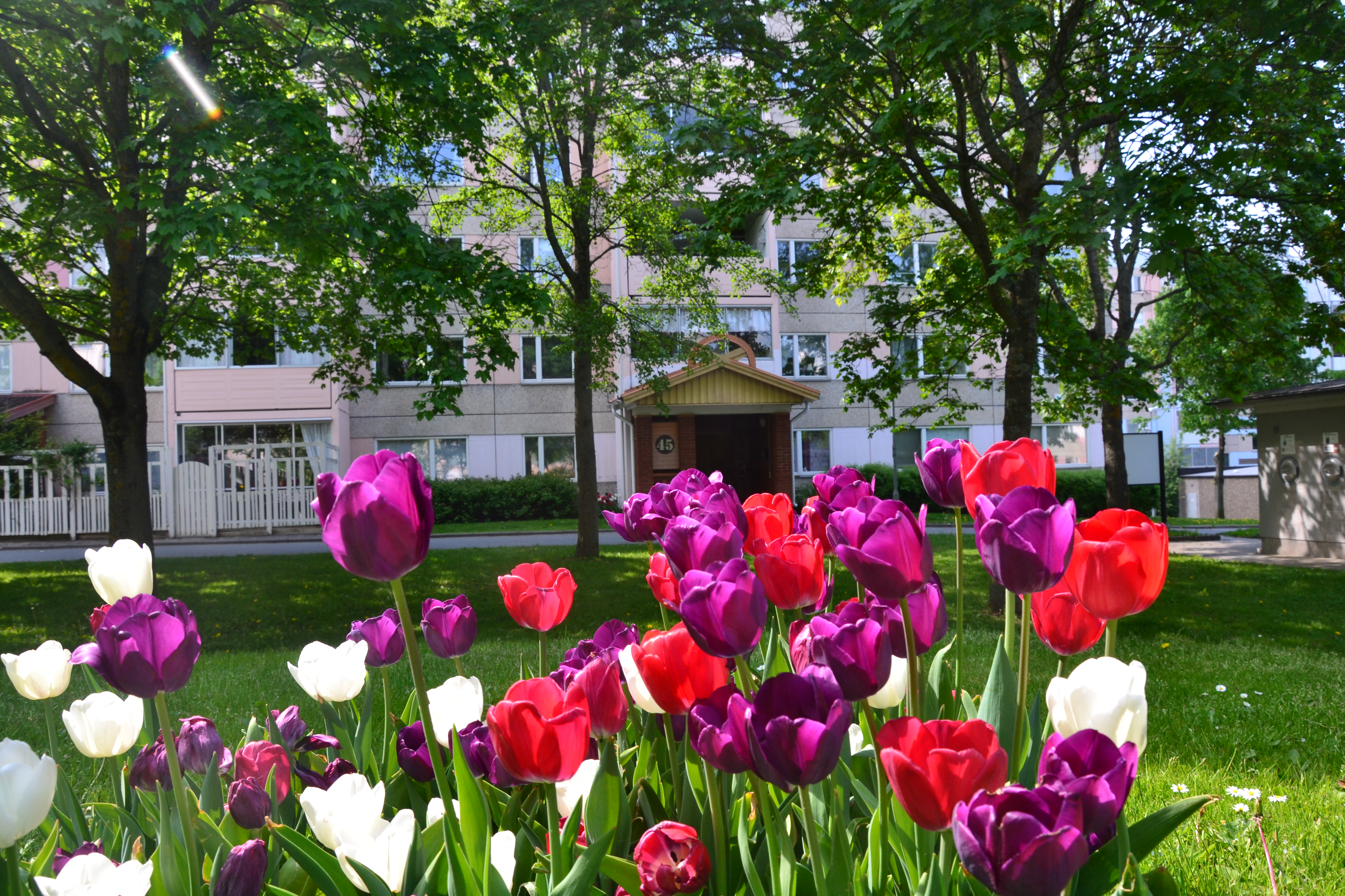 Havsörnsgatan 51, 556 10, JÖNKÖPING